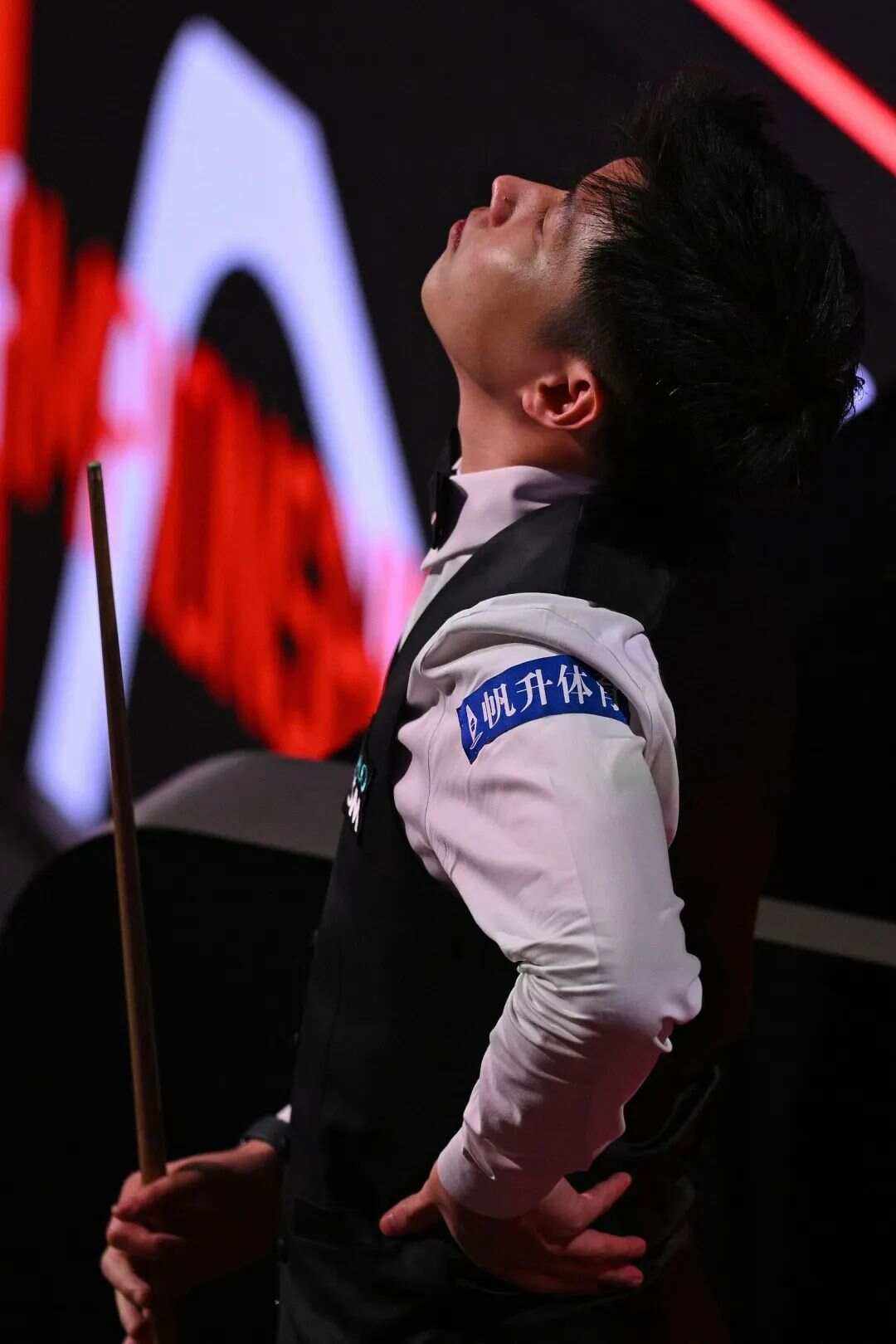 预测与展望 预测与展望